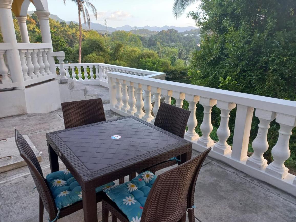 Hotel Red Hassell Manor Port Antonio Exteriér fotografie